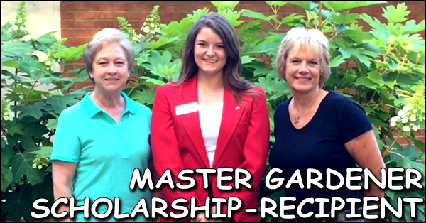 Scholarship Recipient 600x314 2b