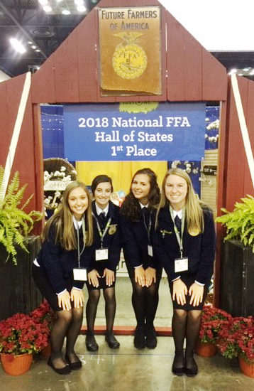 ffa 2018